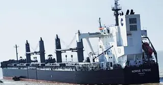 জি টু জি চুক্তির আওতায় যুক্তরাষ্ট্র থেকে দেশে এলো ৫৭ হাজার টন গম